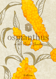 秘密花園裡的桂花