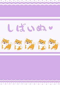 Shiba Inu-Romantic Purple (Pu2)