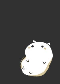 cat staring -13
