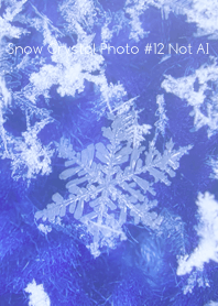 Snow Crystal Photo #12-18Not AI