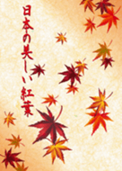 Beautiful Autumn Leaves in Japan2