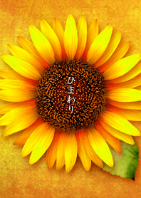 ひまわり 着せかえ