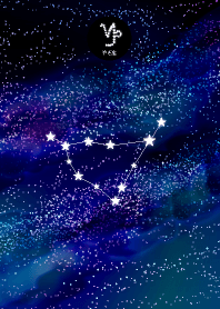 やぎ座の夜空