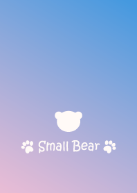 Small Bear *PINK+BLUE 3*