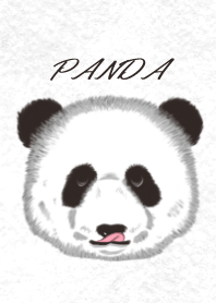 Whole Panda Orange(orange color)