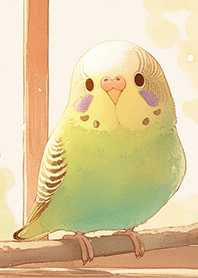 悠閒の虎皮鸚鵡❤️