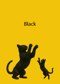 Black Pair04 on yellow