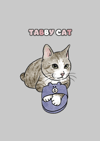 tabbycat6 - grey