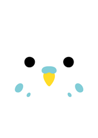 青インコさん