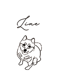 Shiba dog -white-