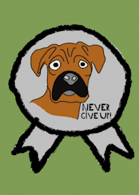 Happy dog, never give up