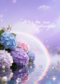 Hydrangeas and a Rainbow After the Rain