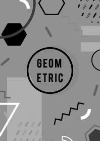 Geometric Rich Flat Dim Gray 2