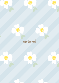 White flowers and leaves pretty18 Japan