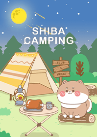 cute shiba inu baby-mountain camping