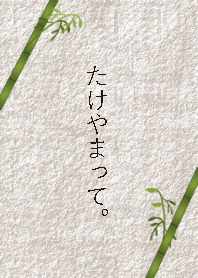 What's TAKEYAMA?*