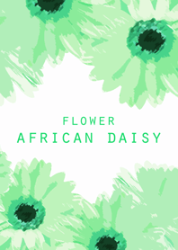 FLOWER AFRICAN DAISY!!!