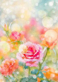 Beautiful rose flower(R2797)