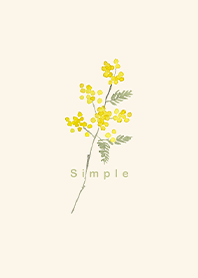 simple ミモザブーケ