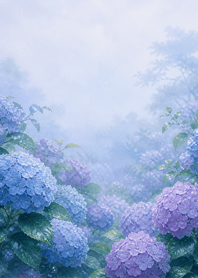 霧藍紫陽花療癒#3
