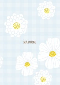 White flower cute27 from Japan