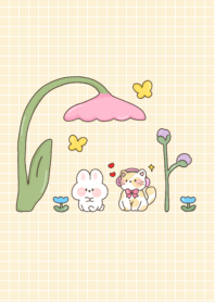 Rabbit 5g