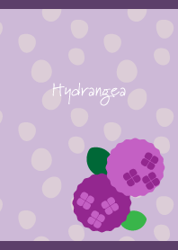 Round hydrangea on purple JP