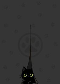 black cat hide and seek.11