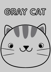 Cute Face Gray Cat theme