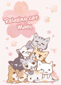 很多放鬆的貓 櫻花1
