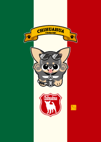 Smooth Chihuahua Black Tan