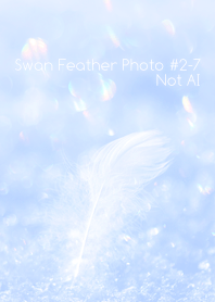 Swan Feather Photo #2-7Not AI