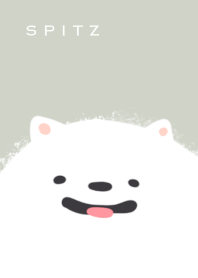 Spitz dog