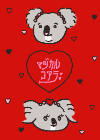 Magical Koala