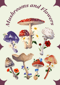 Mushrooms and Flowers