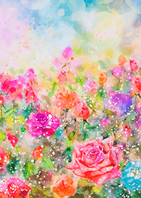 Beautiful rose flower(R3587)