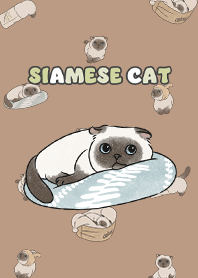 siamesecat7 - mocha