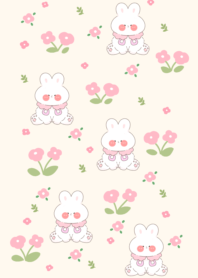 sweet rabbit flower