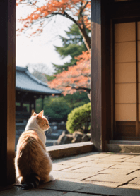 Cats run wild #JTWaL025.