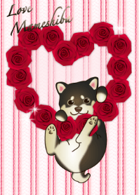 バレンタイン love 豆柴(犬)