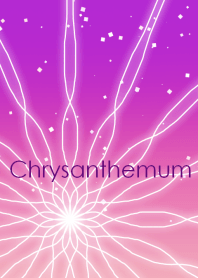 Chrysanthemum ~菊~