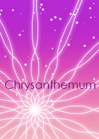 Chrysanthemum