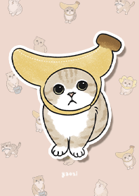 neko combo3 - sea shell