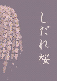 Weeping cherry blossom + pink [os]