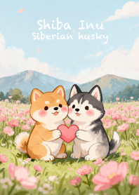 Love Shiba Inu & Siberian husky V2 (JP)