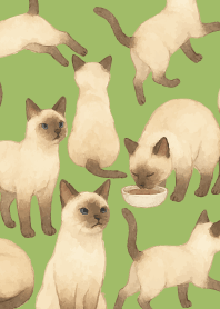 Siamese cat holiday05 moss green