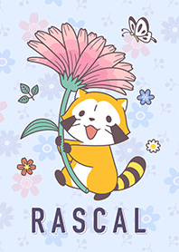 RASCAL☆Spring Flowers