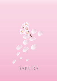 Cherry Blossoms SAKURA.