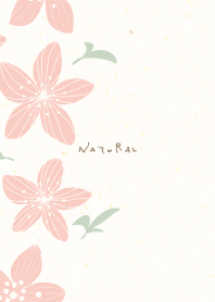 Lily flower left4 from Japan