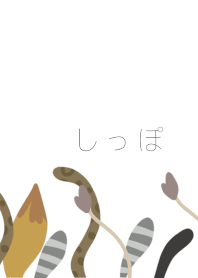 しっぽ